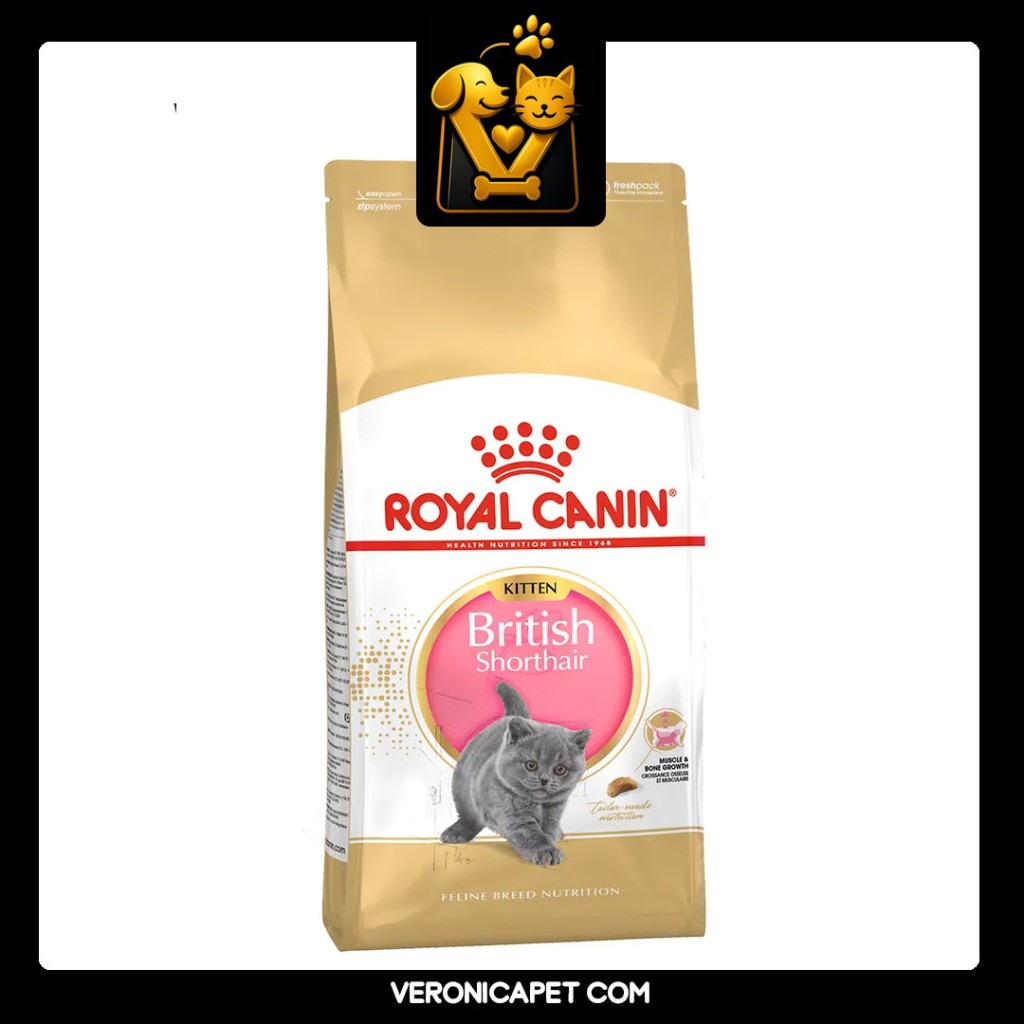 غذای خشک کیتن بریتیش رویال کنین