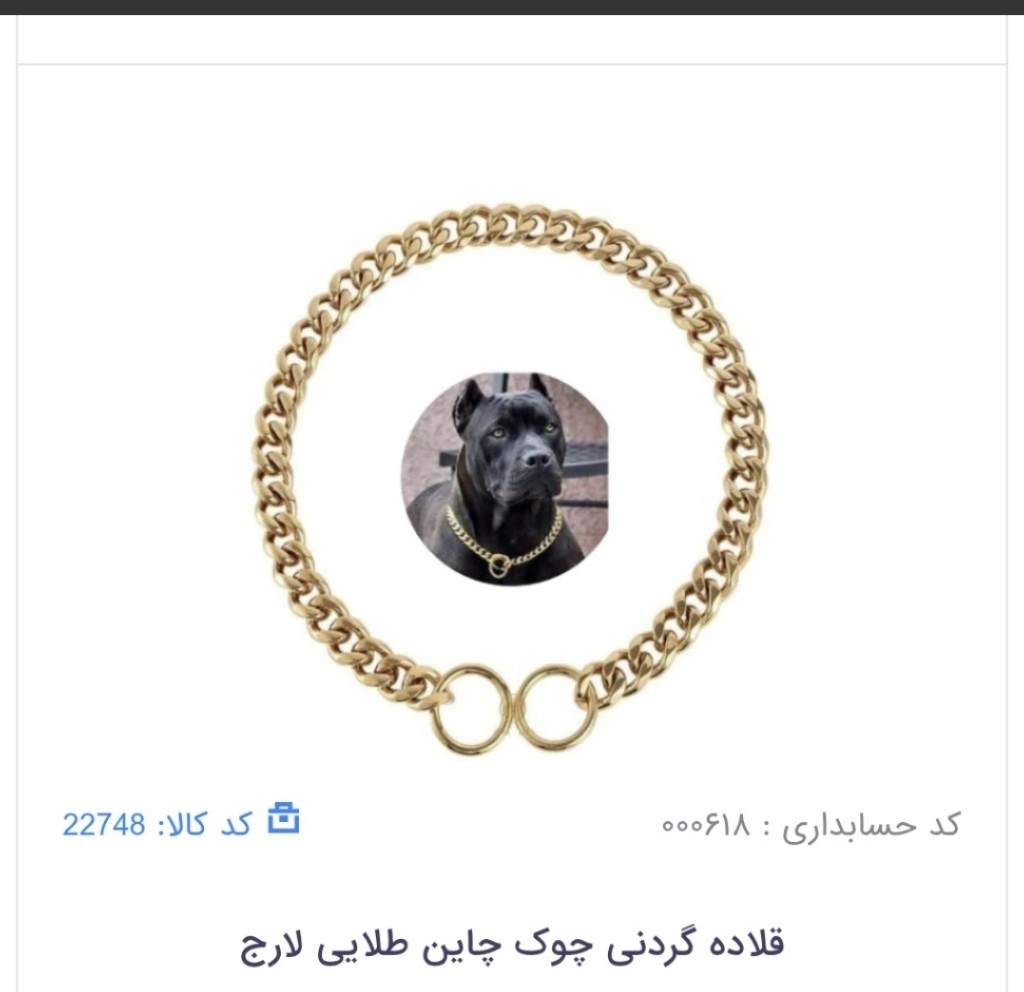 قلاده گردنی چوک چاین طلایی