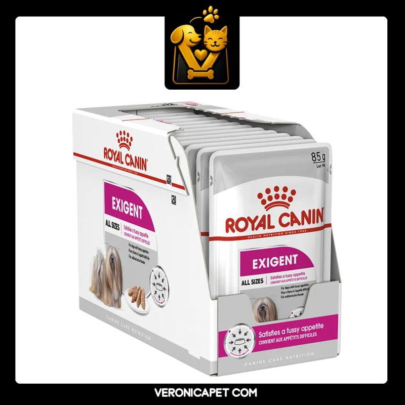 پوچ سگ اگزیجنت رویال کنین