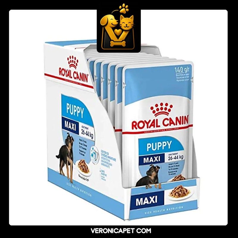 پوچ سگ مکسی پاپی رویال کنین