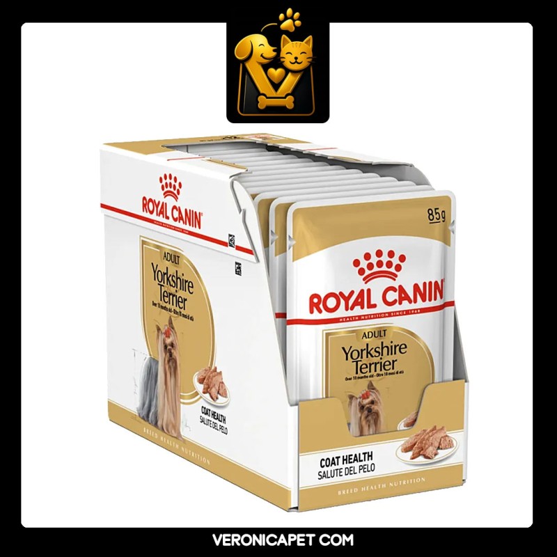 پوچ سگ یورکشایر رویال کنین