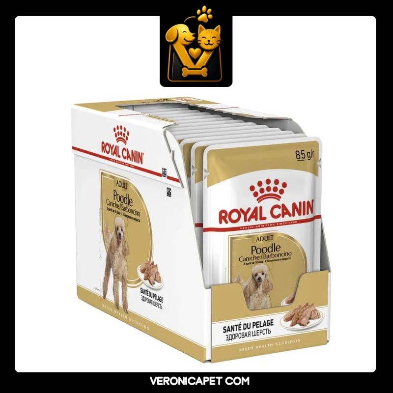 پوچ سگ پودل رویال کنین