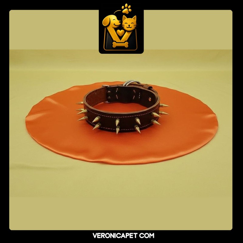 قلاده گردنی چرم گاونیش خاردار  4 و 5 سانتیمتر | آوش