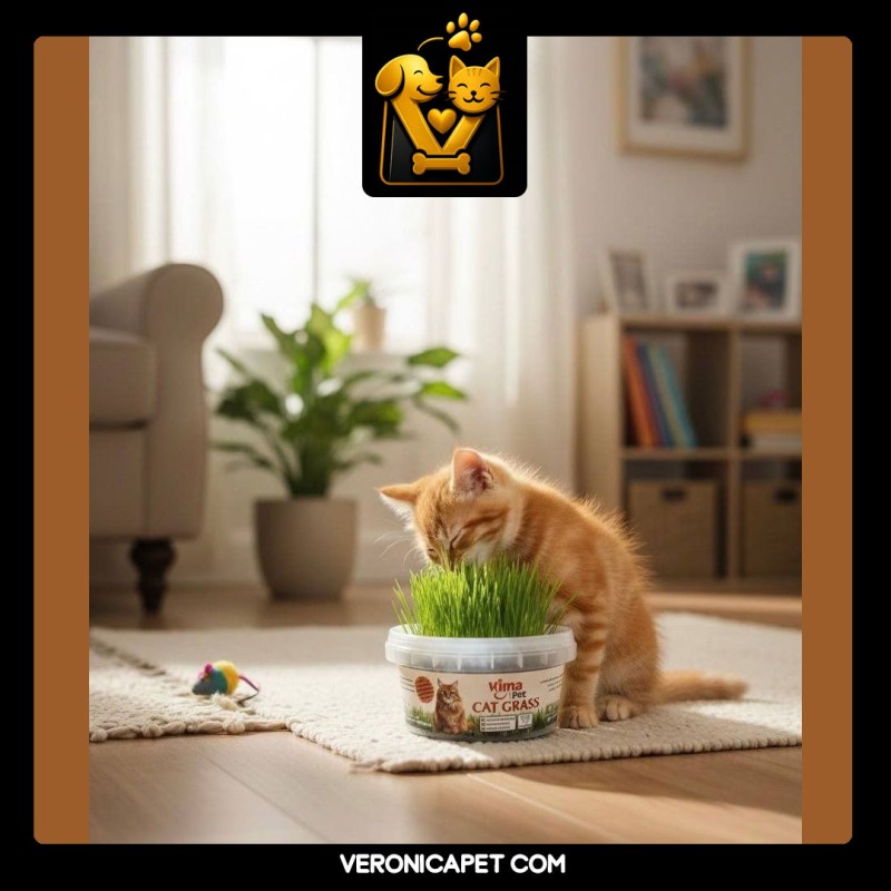 علف گربه ( کت گرس )  برند ویما
