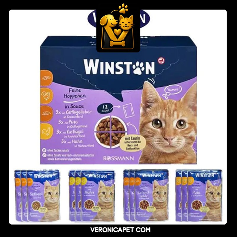 پوچ وینستون گربه