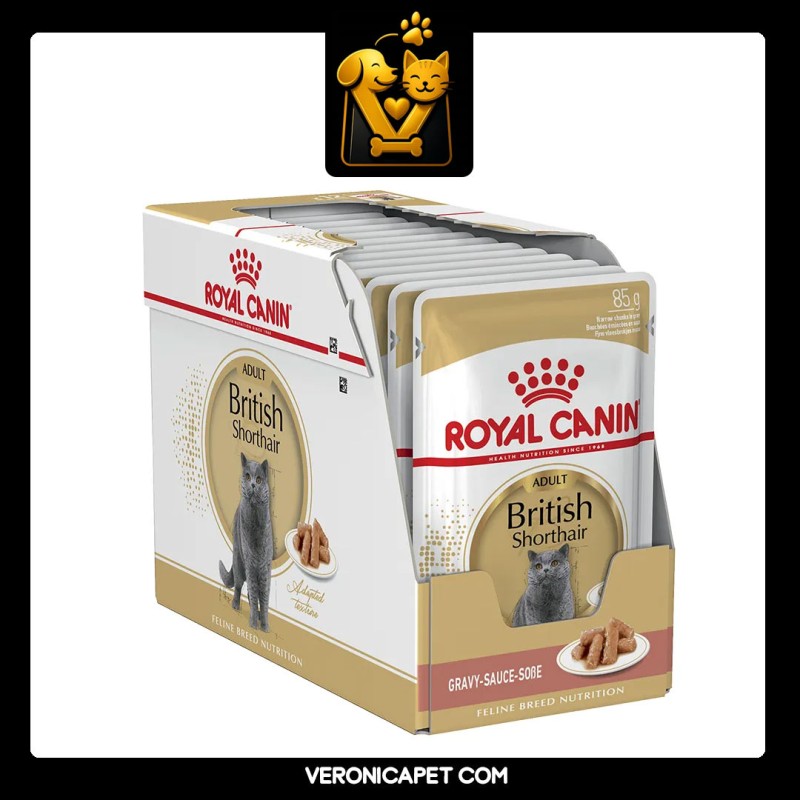 پوچ گربه بریتیش ادالت رویال کنین