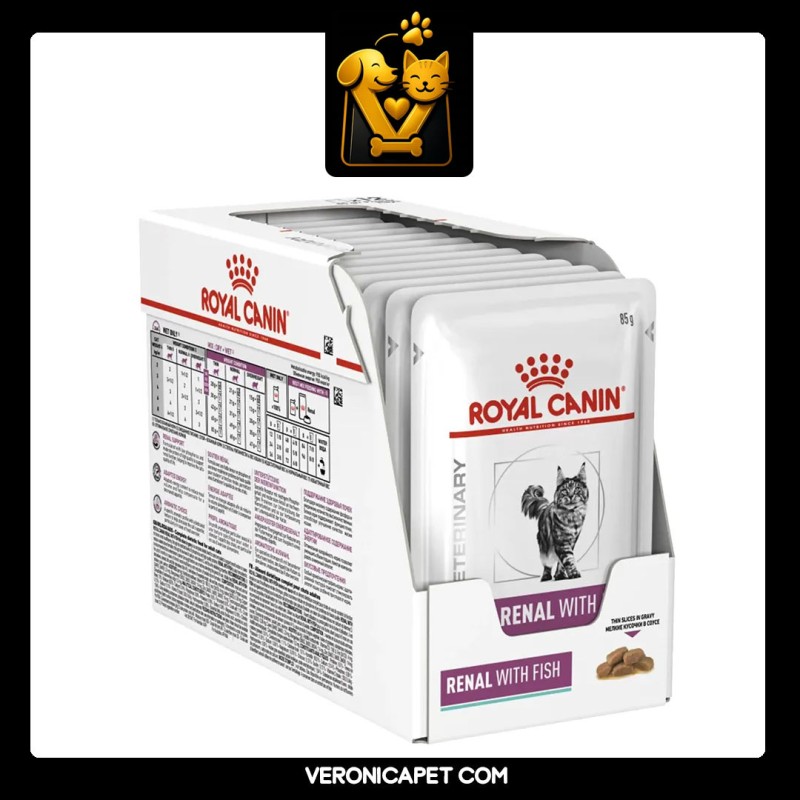 پوچ گربه رنال با ماهی رویال کنین