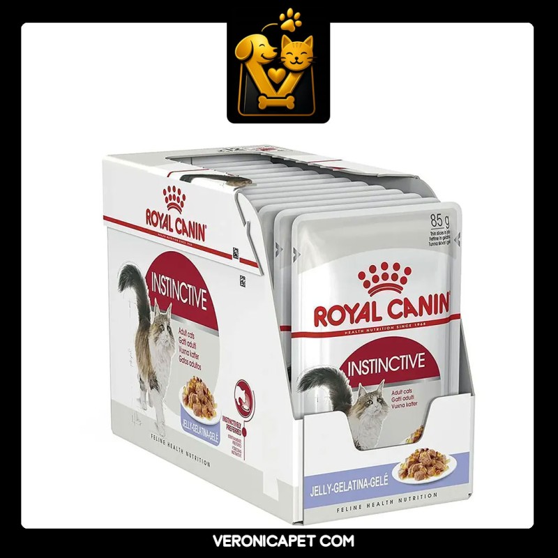 پوچ گربه اینستینکتیو ژلی رویال کنین