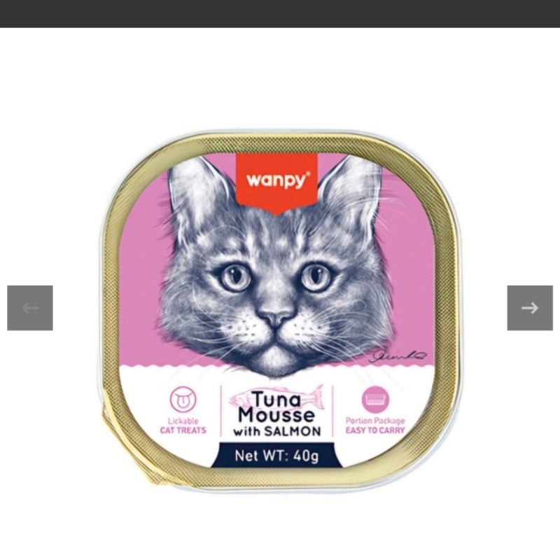 ووم گربه ونپی با طعم ماهی تن و سالمون Wanpy Tuna Mousse With Salmon وزن 40 گرم