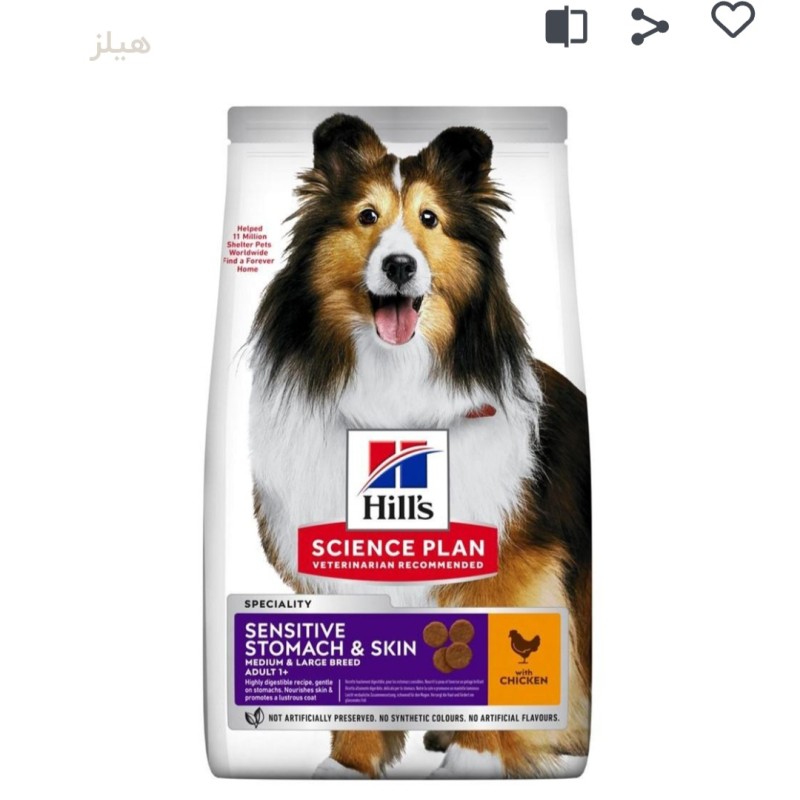 غذای خشک سگ هیلز مدیوم و لارج Hill’s Medium & Large Adult Sensitive Stomach & Skin