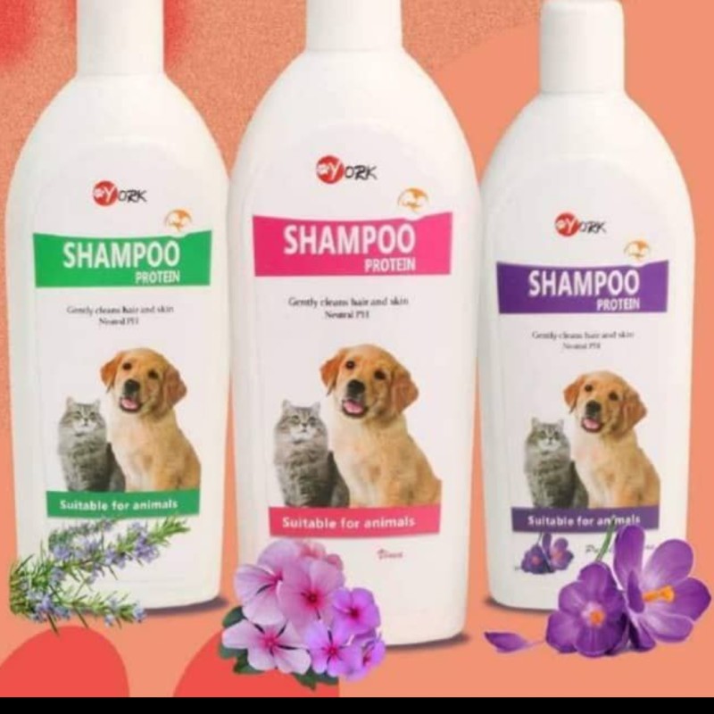 شامپو یورک سگ و گربه با چند رایحه مختلف