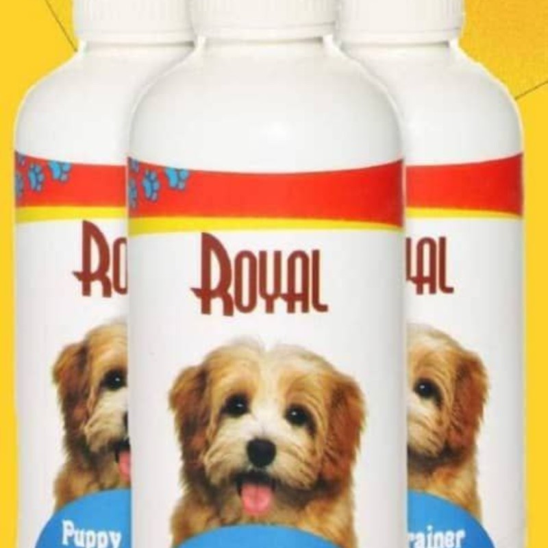 قطره تعلیم ادرار