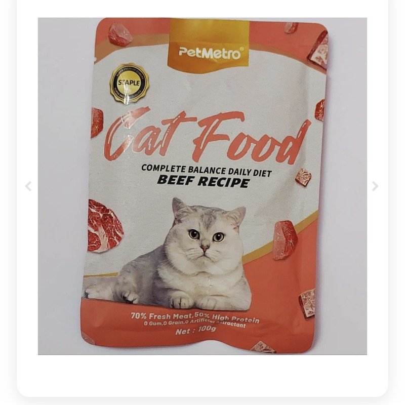 پوچ گربه مترو