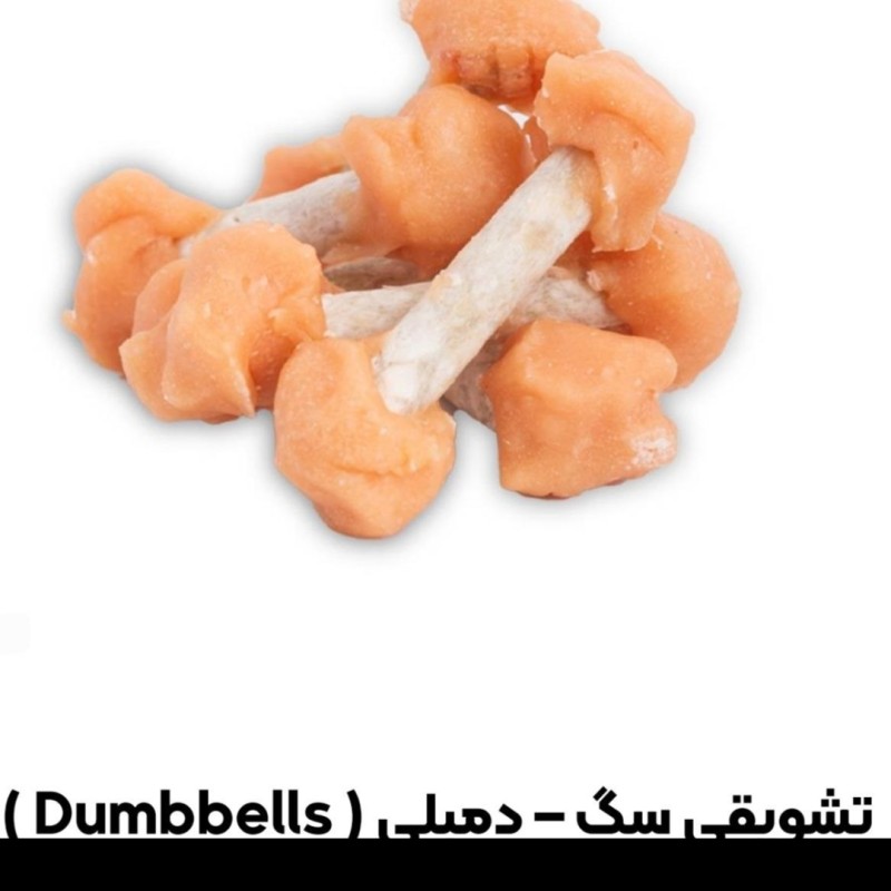 تشویقی یو اس پت مدل دمبلی