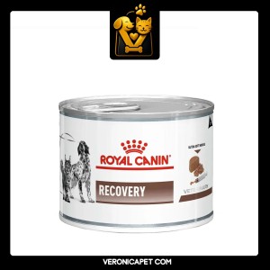 کنسرو ریکاوری سگ و گربه رویال کنین