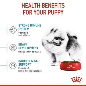 غذای سگ مینی ایندور پاپی رویال کنین