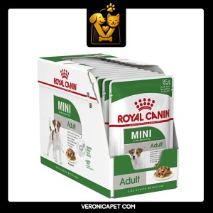 پوچ سگ مینی ادالت رویال کنین