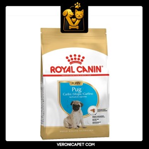 غذای سگ پاگ پاپی رویال کنین