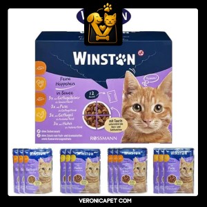 پوچ وینستون گربه