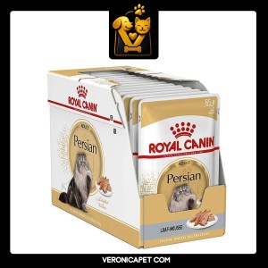 پوچ گربه پرشین ادالت رویال کنین