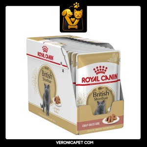 پوچ گربه بریتیش ادالت رویال کنین