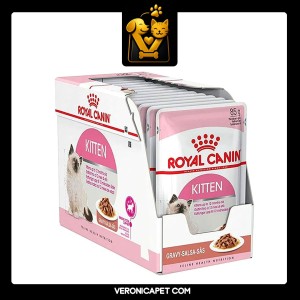 پوچ کیتن گروی رویال کنین