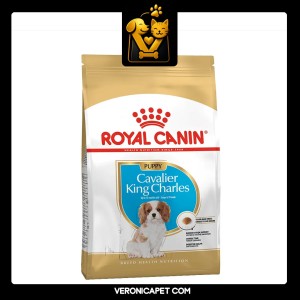 غذای کاوالیر پاپی رویال کنین