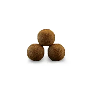 غذای بچه گربه جوسرا کیتن – Josera kitten