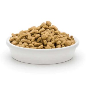 غذای گربه جوسرا مرغ – Josera chicken