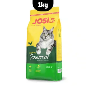 غذای گربه جوسرا با طعم مرغ