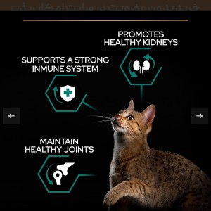 غذای خشک رنال پلاس گربه بالغ پروپلن با طعم مرغ Proplan Adult Renal Plus وزن 10 کیلوگرم