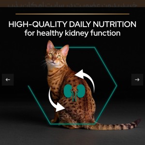 غذای خشک رنال پلاس گربه بالغ پروپلن با طعم مرغ Proplan Adult Renal Plus وزن 10 کیلوگرم