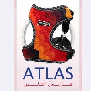 هارنس مدل اطلس