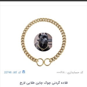 قلاده گردنی چوک چاین طلایی