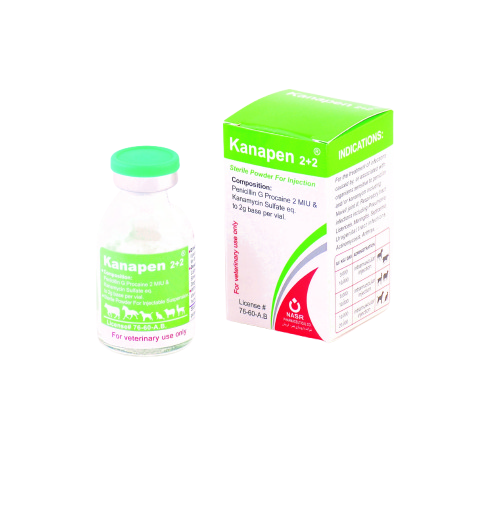 كاناپن 2+2 (Kanapen 2+2)