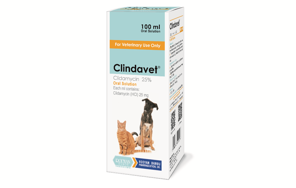 کلینداوت Clindavet