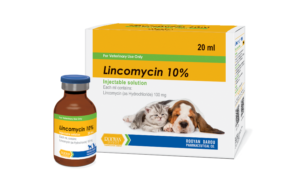 لینکومایسین 10% | Lincomycin 10%