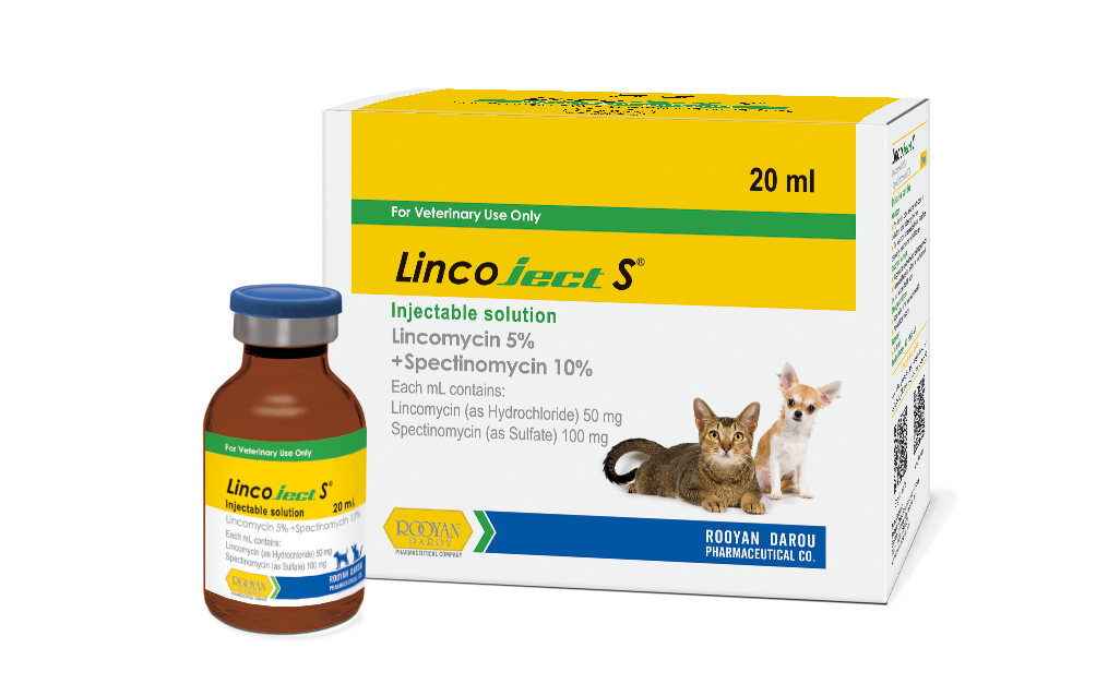 لینکوجکت اس Lincoject S