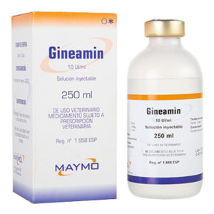 جین آمین Gineamin