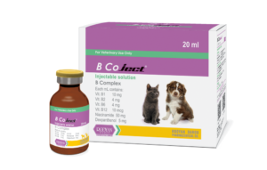 ب کوجکت B Co ject