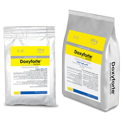 داکسی فورت رویان Doxyforte Rooyan