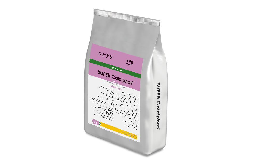 سوپر کلسیفوس