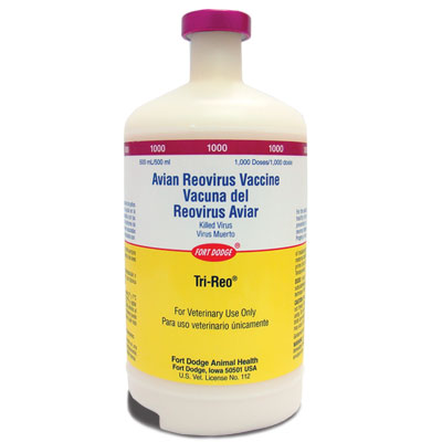 تري رئو Tri-reo