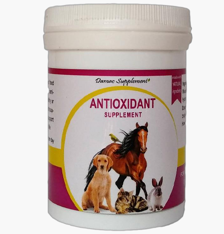 مکمل آنتی اکسیدان داماک حیوانات خانگی