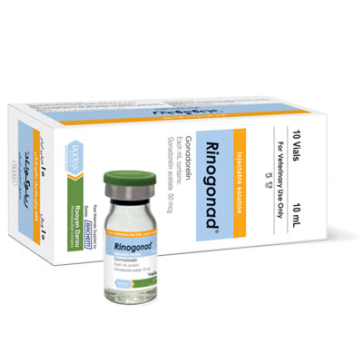 رینوگوناد Rinogonad