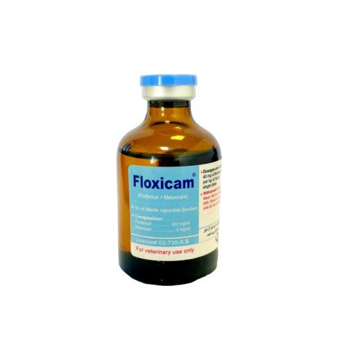 فلوکسیکام Floxicam