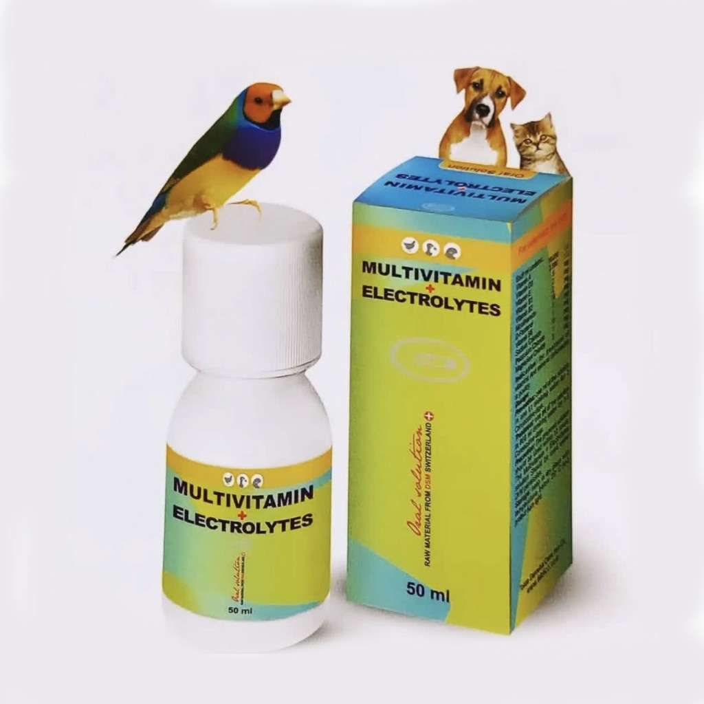 مولتی ویتامین +الکترولیت