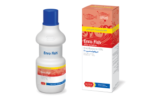 انرو فیش Enro Fish