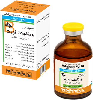 ويتاجكت فورت