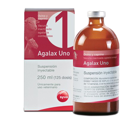 آگالاکس اٌنو | Agalax Uno